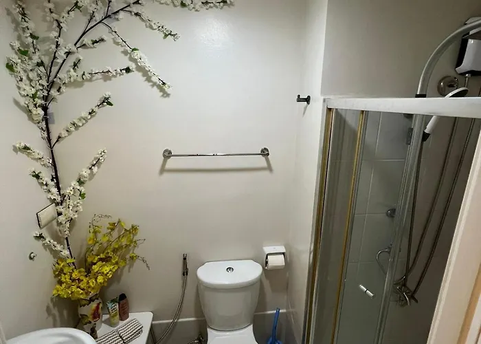 Osaka Theme Lrt Gilmore Robinsons Magnolia Pool Free Netflix Prime Hbo Max Internet
